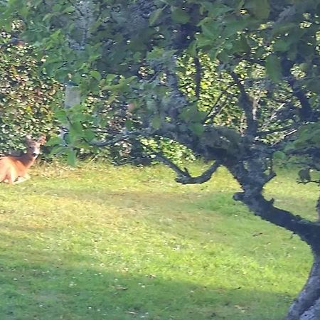 Aquila Retreats Bed & Breakfast Comrie Bagian luar foto