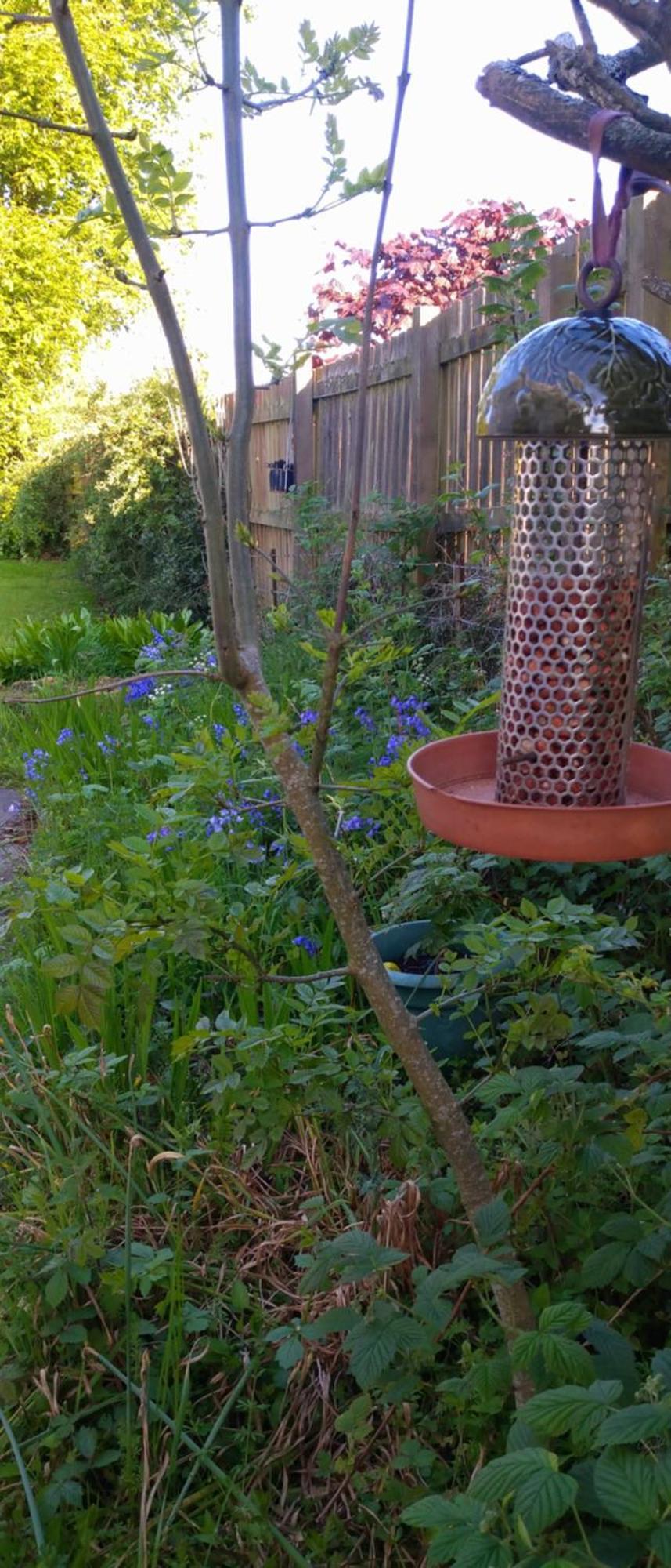 Aquila Retreats Bed & Breakfast Comrie Bagian luar foto